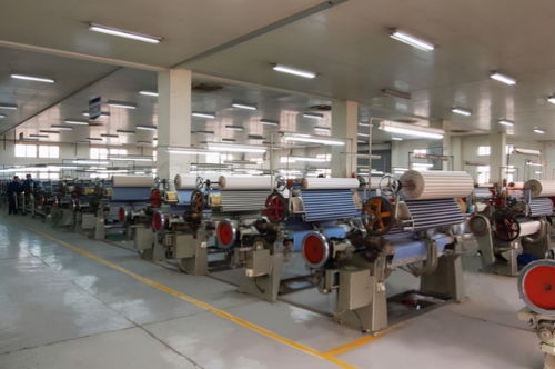 破浪前行 金輪針布業(yè)績?cè)鲩L30%背后的多維驅(qū)動(dòng)力